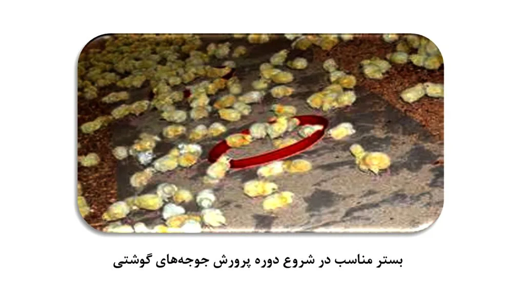 بستر مناسب شروع